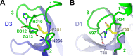 Figure 2—figure supplement 1.