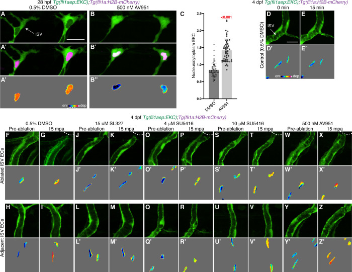 Figure 3—figure supplement 3.