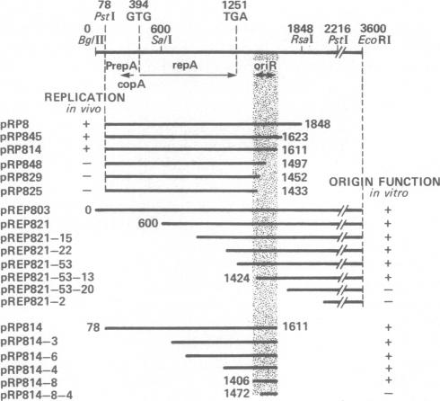 graphic file with name pnas00648-0089-a.jpg