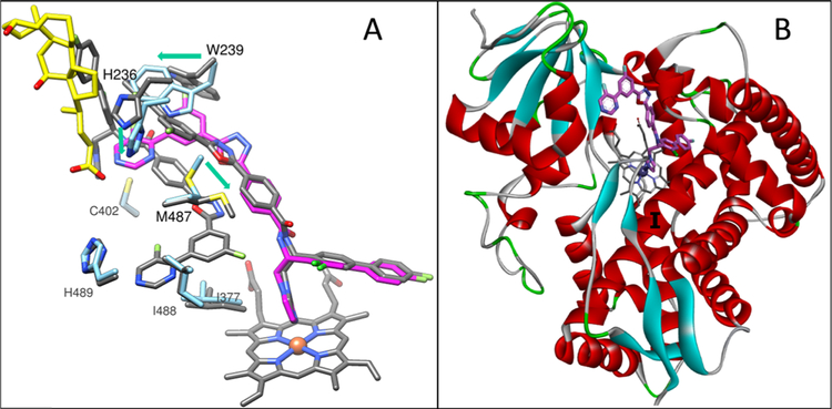 Figure 11.