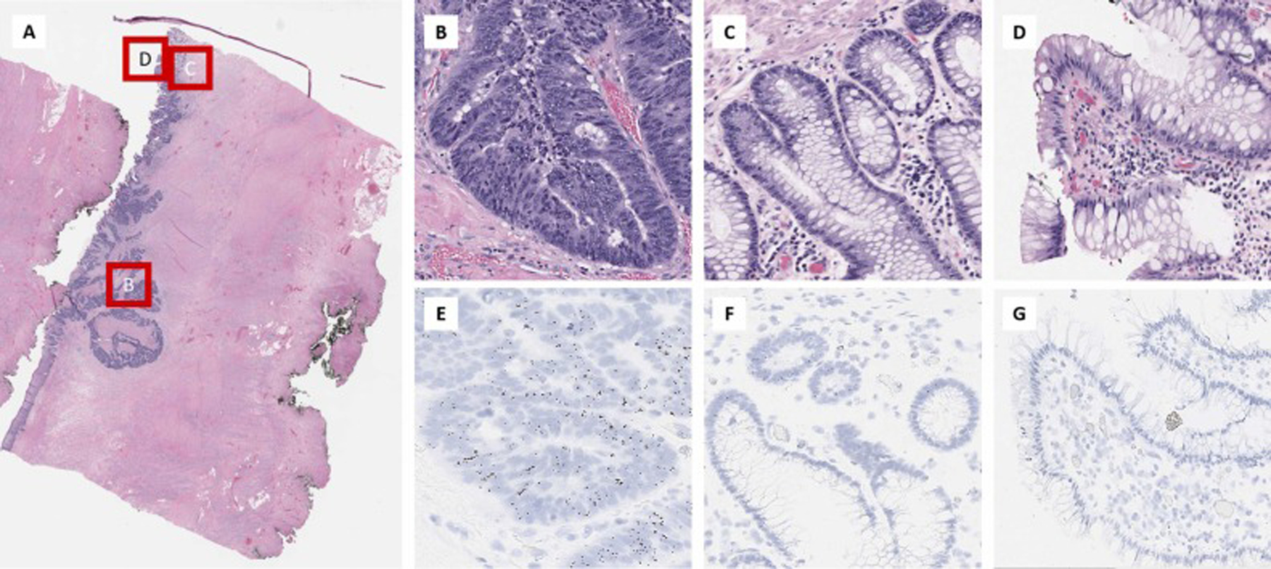 Fig. 6.