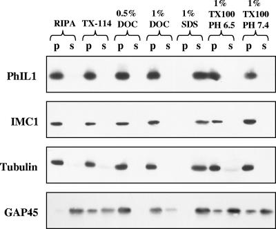 FIG. 7.