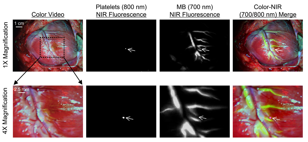 Figure 5