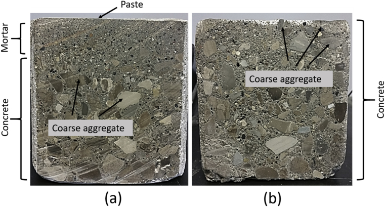 Fig. 10