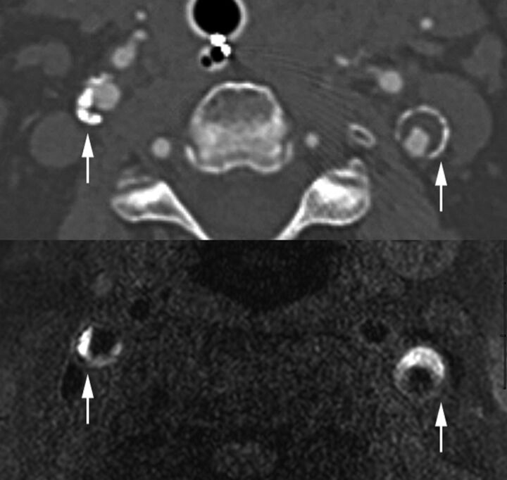 Fig 1.