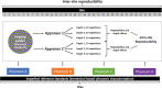 Diagram depicts the strategy for the phantom-based groundwork study
planned by the American Institute of Ultrasound in Medicine–RSNA
Quantitative Imaging Biomarkers Alliance Pulse-Echo Quantitative Ultrasound
Biomarker Committee. The study will include the participation of 10 US vendors
and 24 clinical, academic, and government institutions for an expected total of
34 sites. At least three sites will perform measurements on at least one
specified imaging system from each vendor. Each site will perform measurements
on the four phantoms with two appraisers, and each appraiser will perform 10
repetitions at three different depths.