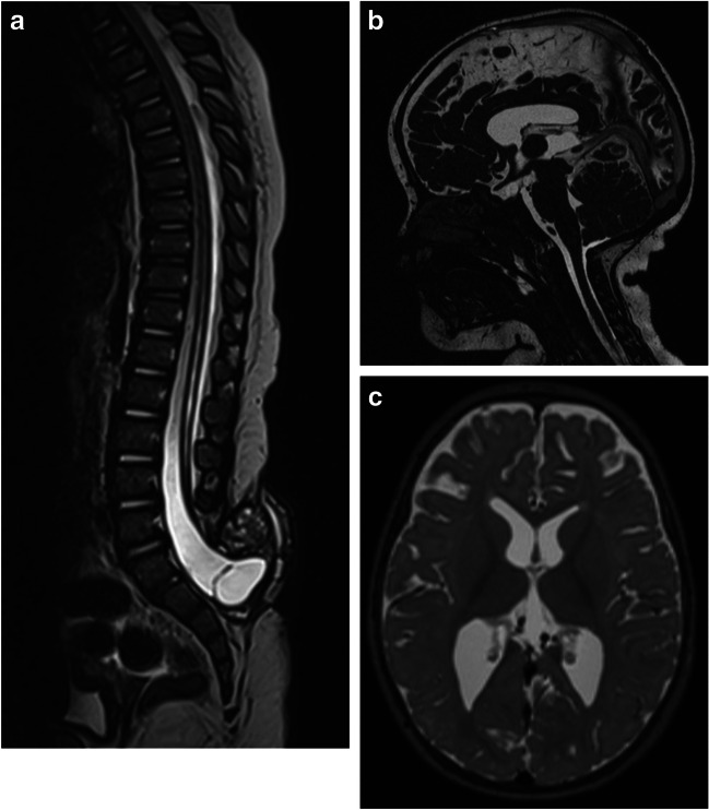 Fig. 2