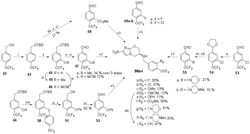 Scheme 5