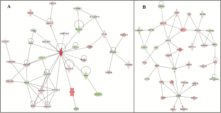 Figure 3.