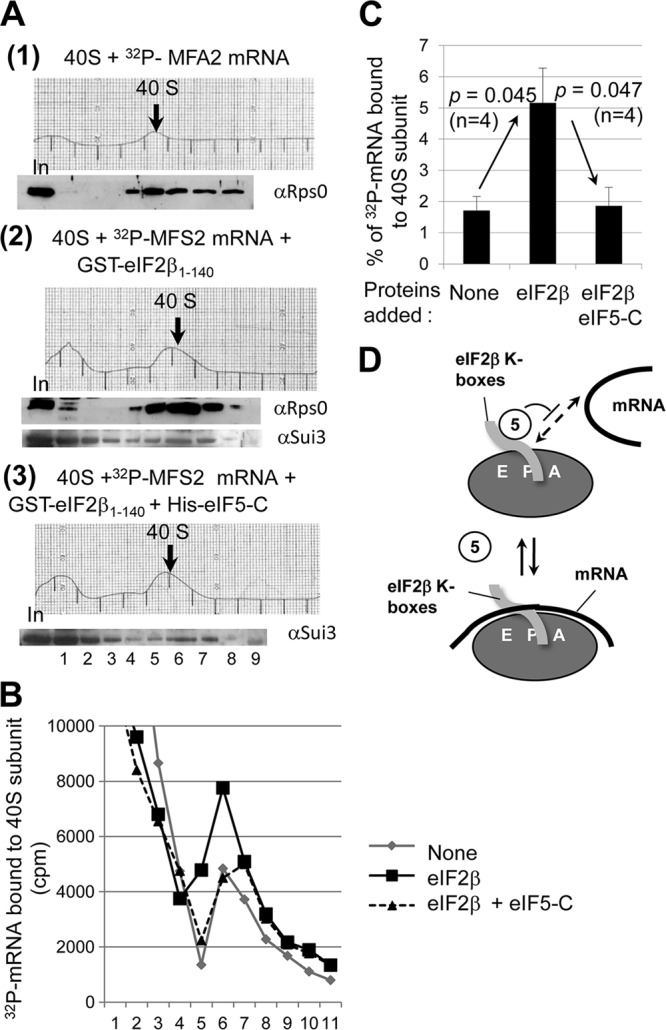 Fig 5