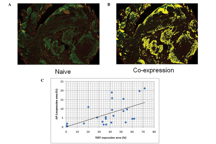 Figure 3.