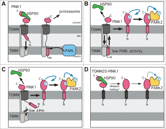 Figure 7.