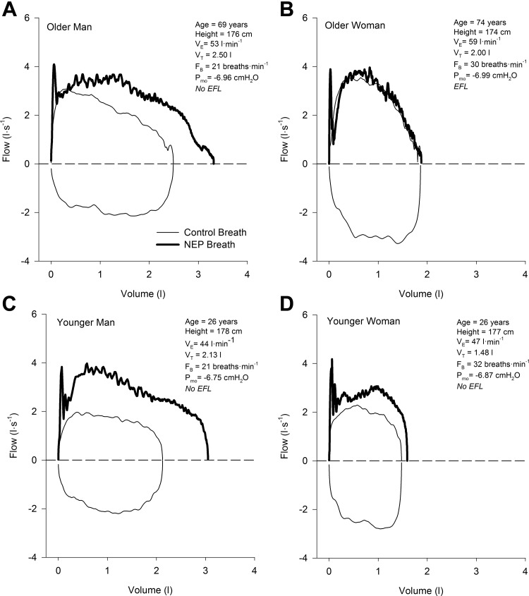 Fig. 6.