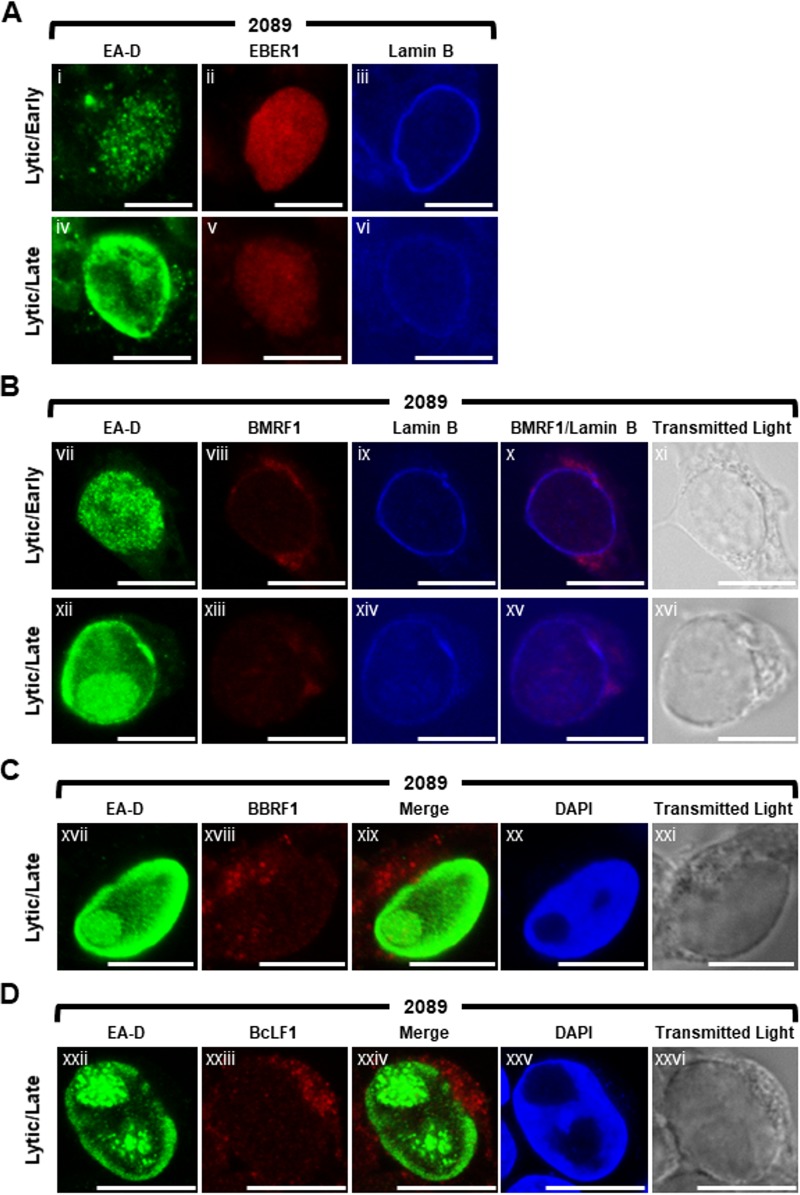 FIG 10