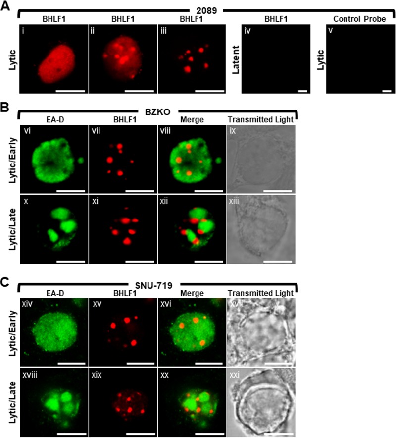 FIG 11