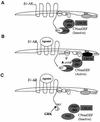 FIG. 8.