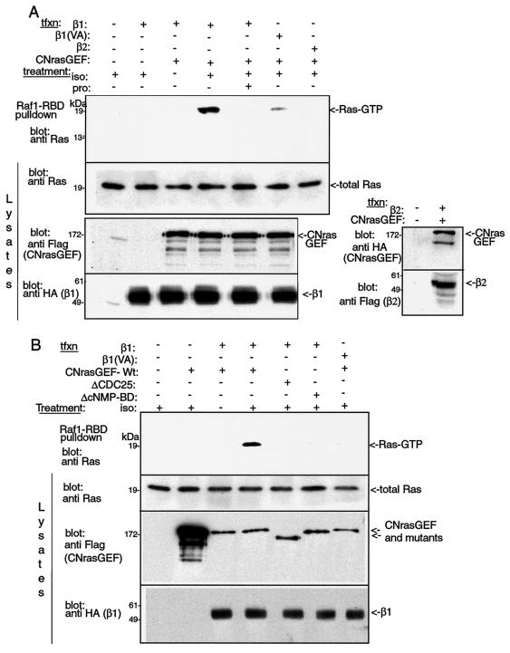 FIG. 5.