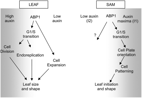 Figure 9.