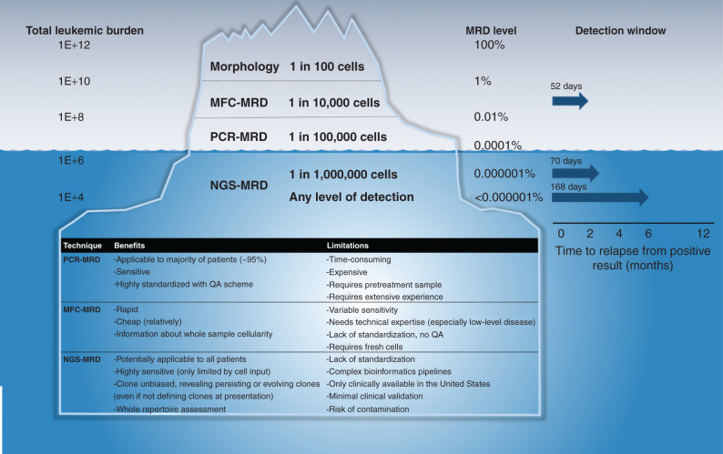 Figure 1. Comparison of relative sensitivities of MRD assessment methods and corresponding levels of disease. The left column refers to the estimated total leukemic cells (leukemic burden) in the body at a given MRD level. The median interval to relapse from detection of a positive MRD result, the “detection window” adapted from Pulsipher and colleagues (9), is shown in the far-right column for MFC-MRD, for NGS-MRD at a level of sensitivity cutoff at 10−6, and for NGS-MRD at any detectable level. QA, quality assurance.