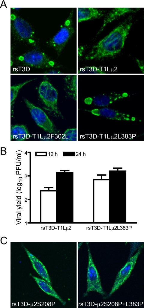 FIG. 9.