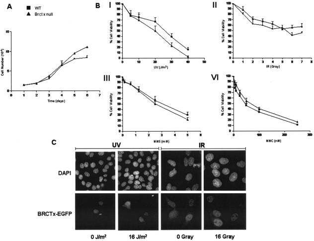 FIG. 8.