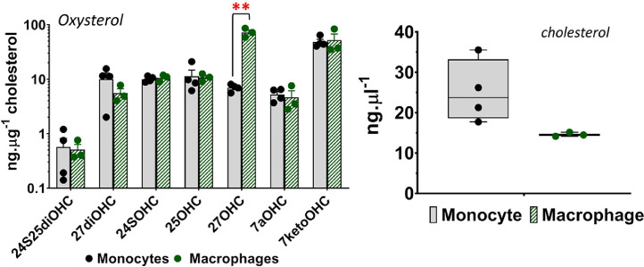 Fig. 1: