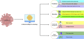 Image, graphical abstract