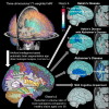 Graphical Abstract