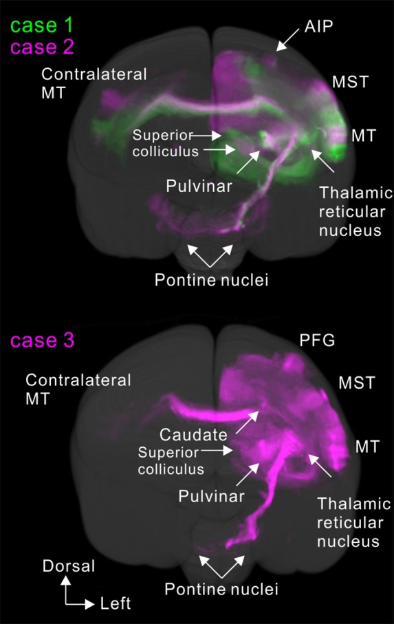 Figure 12