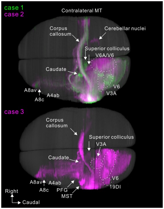 Figure 11