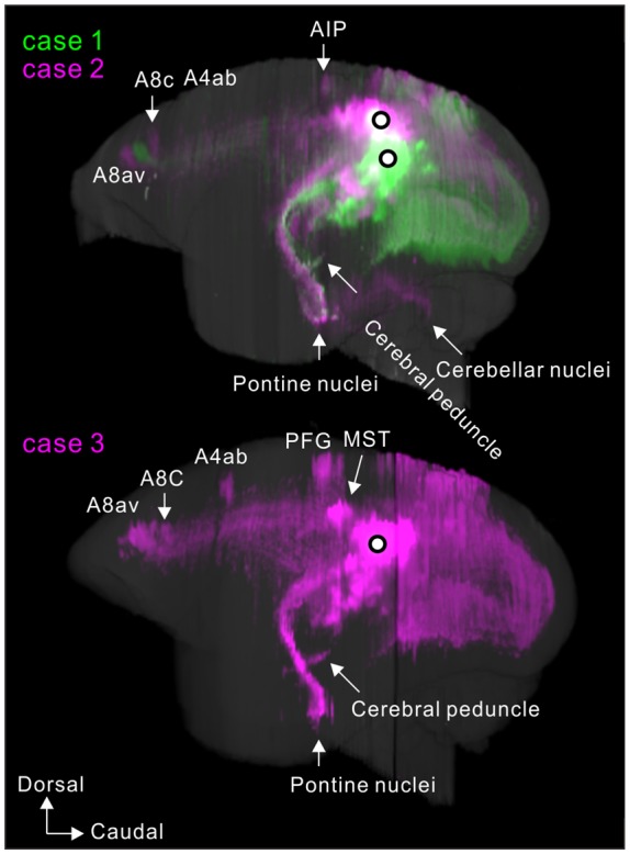 Figure 10