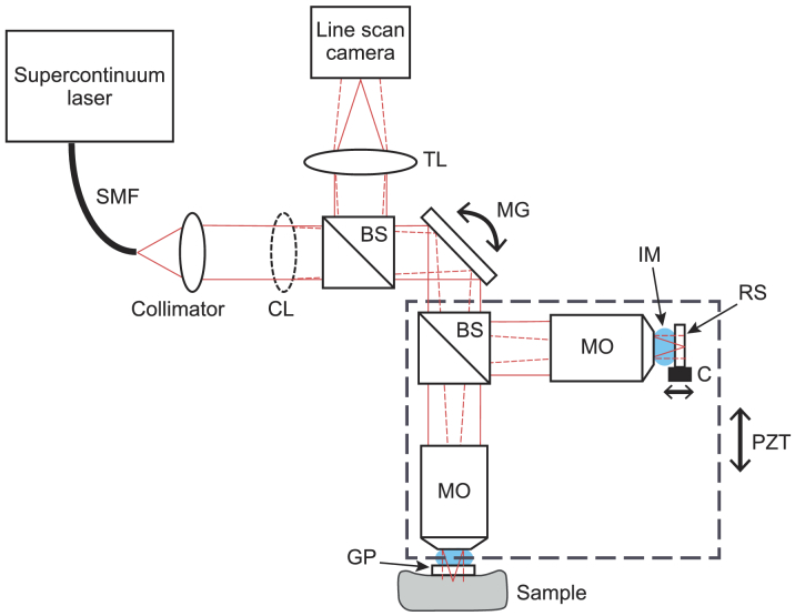 Fig. 1.