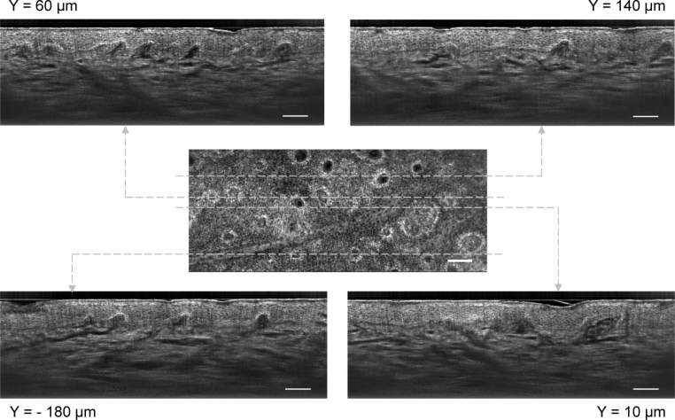 Fig. 4.