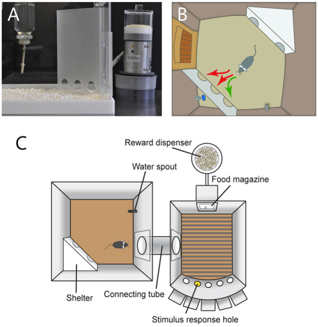 Figure 7