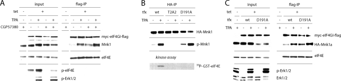 FIG. 5.