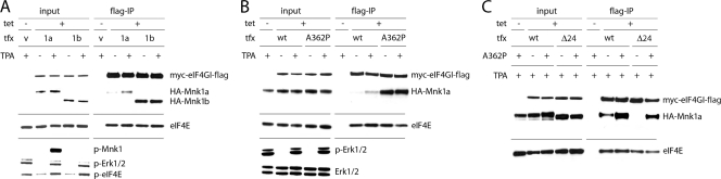 FIG. 4.