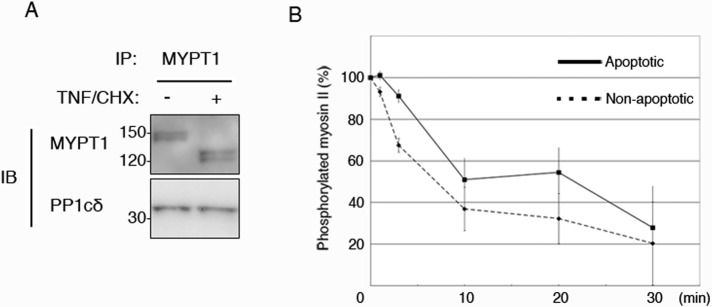 FIGURE 5: