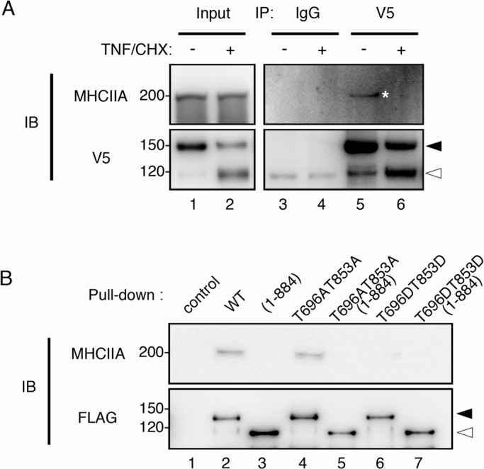 FIGURE 3: