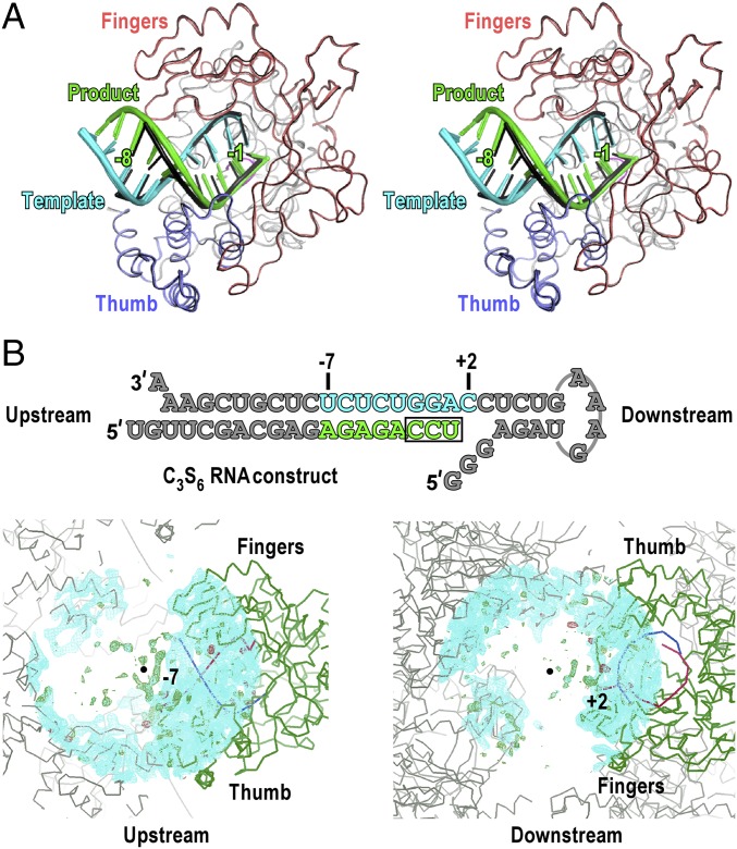 Fig. 4.