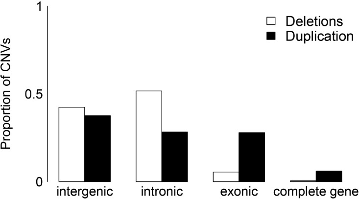 Fig. 6.—