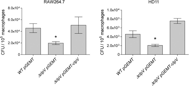 Fig 6