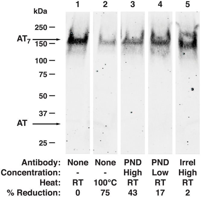 Fig 11