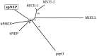 Fig. 11.