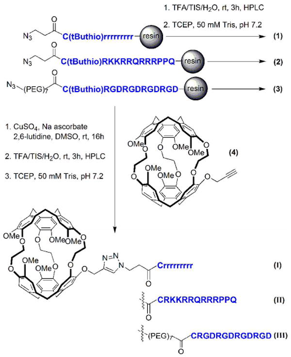 Scheme 1