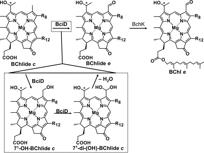 FIGURE 9.