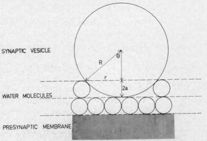 graphic file with name pnas00144-0211-a.jpg