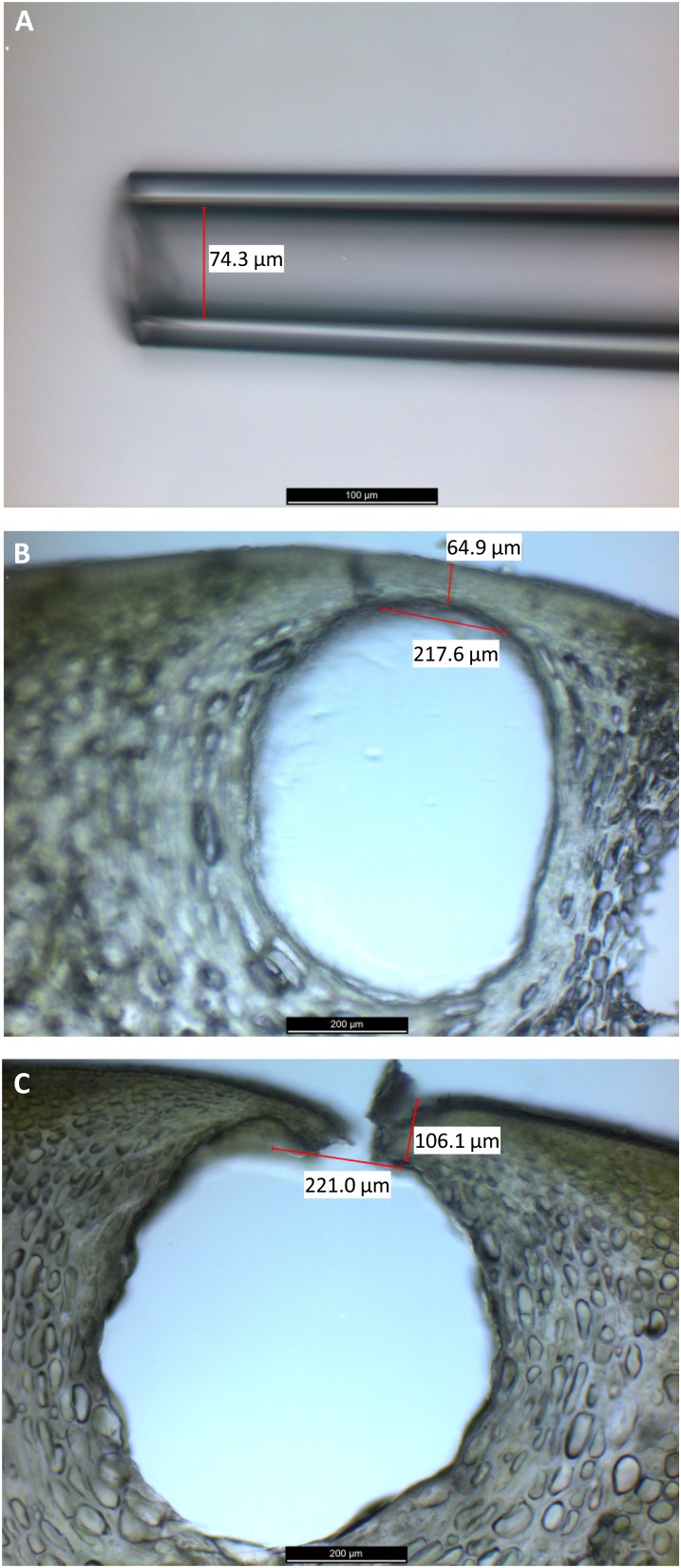 Figure 2.