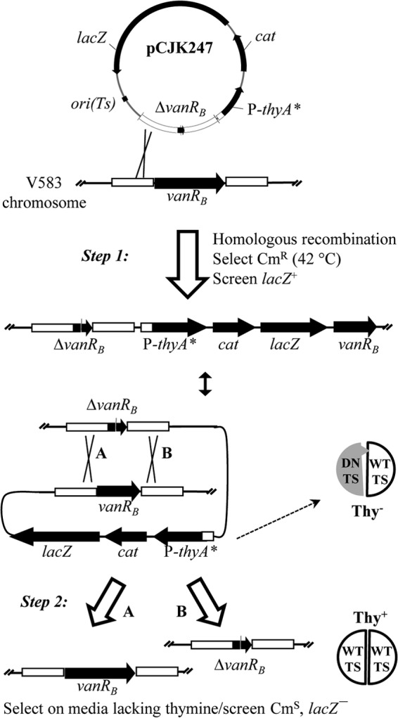 FIG 2