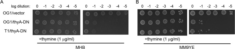 FIG 1