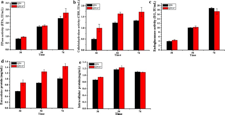 Fig. 3